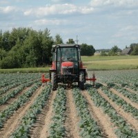 Produttore di accessori per trattori, ruote per macchine agricole, Polonia